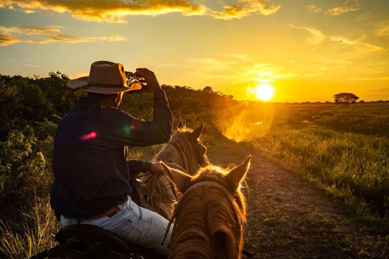 Llanos Orientales Paraíso Natural Terrestre 2024 Suroeste Travel