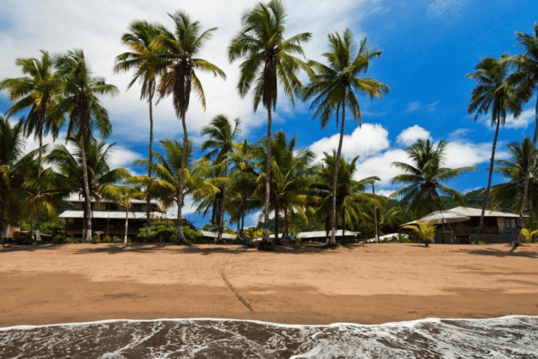 Avistamiento de Ballenas en Bahía Solano Playa de Oro 2025 - Suroeste  Travel Agencia de Viajes